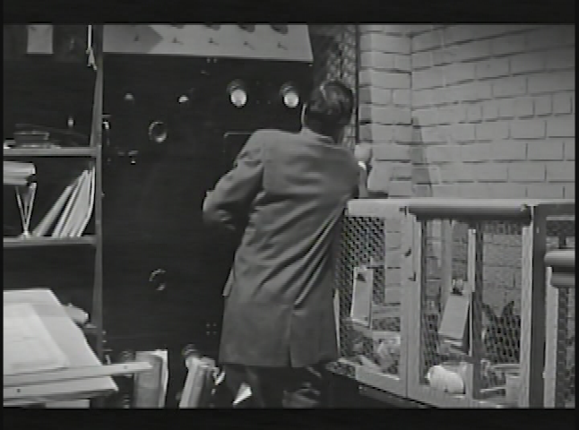 Haunted Hotel: Return of the Fly