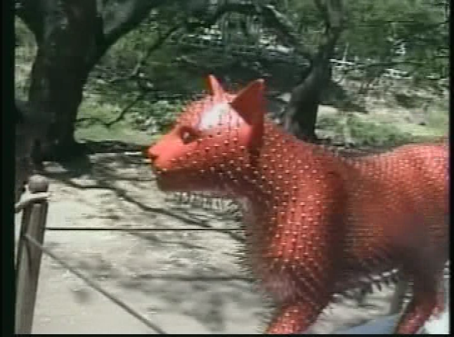 Lili and Lucy the Bees: Columbia