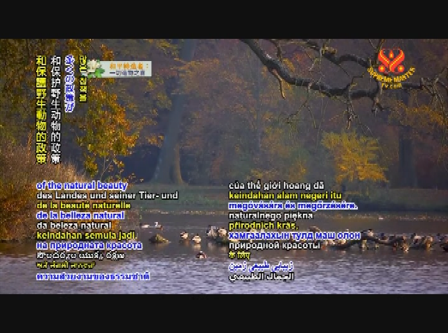 Supreme Master TV 10-04