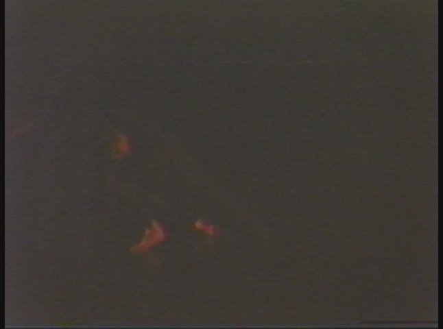 Fort Wayne Dance Collective: Performance in Progress #2 1987 (Converted)