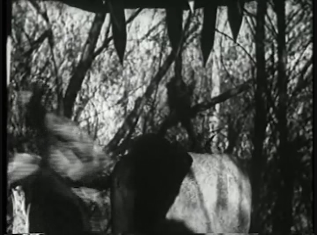 Saturday Serials: The Lost City pt. 3