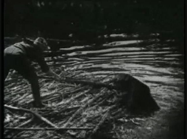 Saturday Serials: The Lost City pt. 6