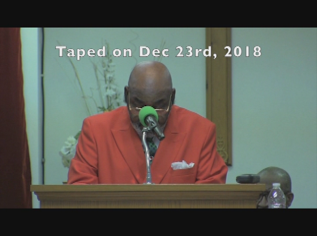 Tree Of Life--Dec 18th 2020