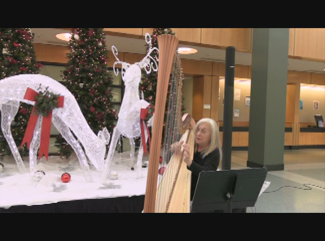 ACPL Presents: Harp for the Holidays