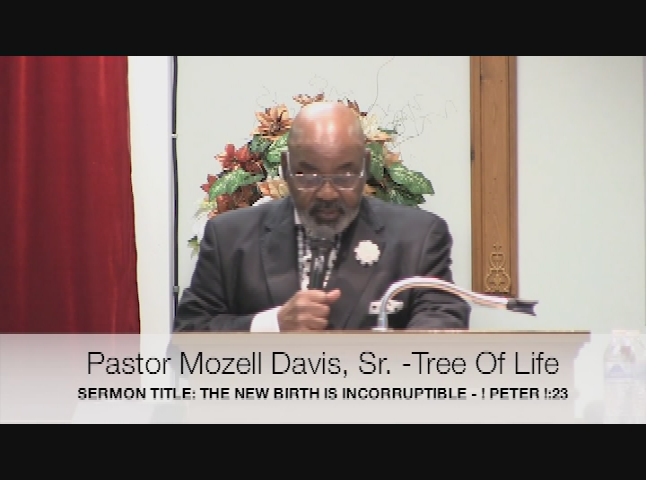 Tree Of Life Mar 14th 2021