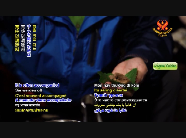 Supreme Master TV 5-2
