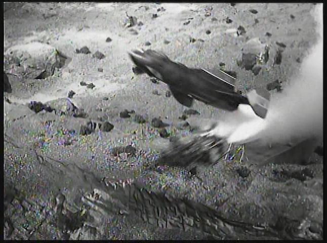 Fireball XL5: Space Vacation s3ep6