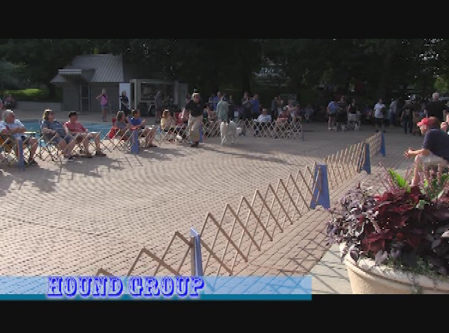 Three Rivers Festival Dog Show 2021