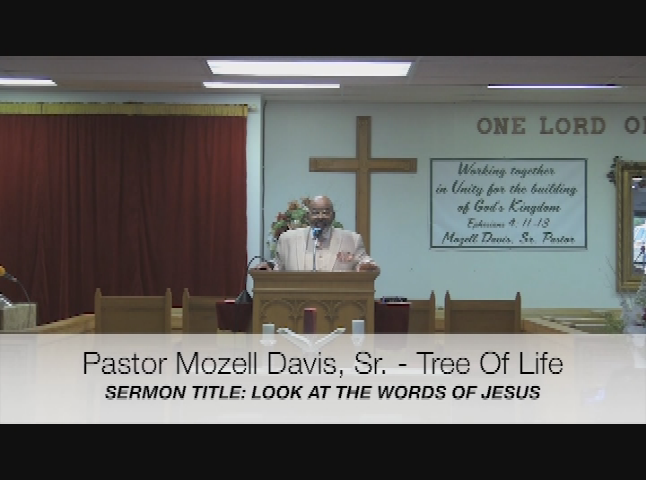 Tree Of Life August 15 2021