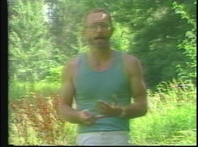 At Large - In the Blackberry Patch