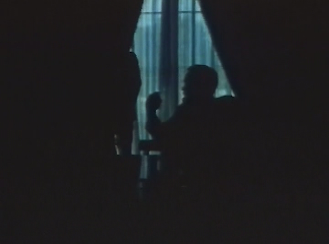 Movies I Found - Werewolf of Washington