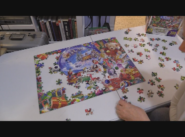 Puzzled: Snow Globe (Christmas 2021)