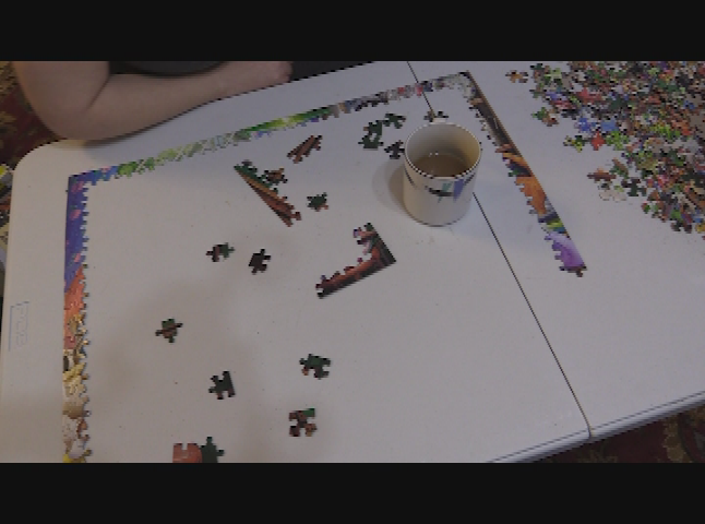 Puzzled: Paws Gone Wild