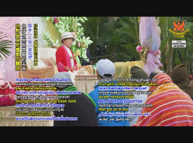 Supreme Master TV 2-06