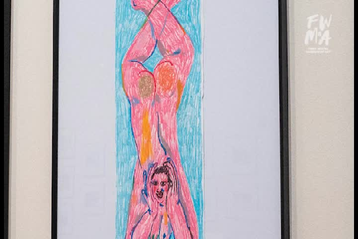 Fort Wayne Museum of Art Presents The Art of the Skateboard