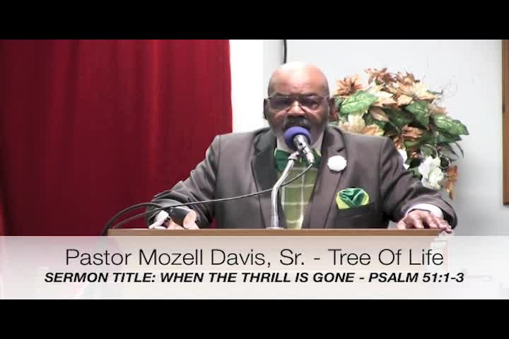 Tree Of Life April 10 2022
