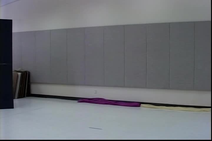 Roving Reader - Dancing Through the Pages