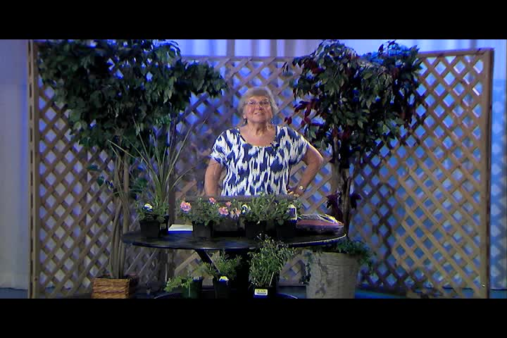 In the Garden - Container Gardening 101