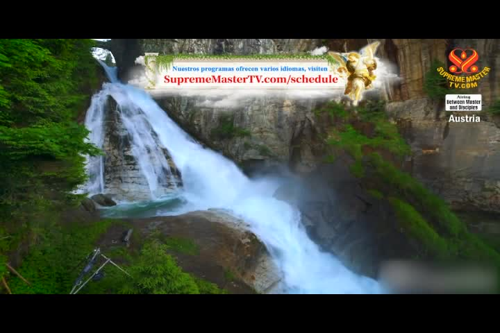 Supreme Master TV 06-08-480p-60m