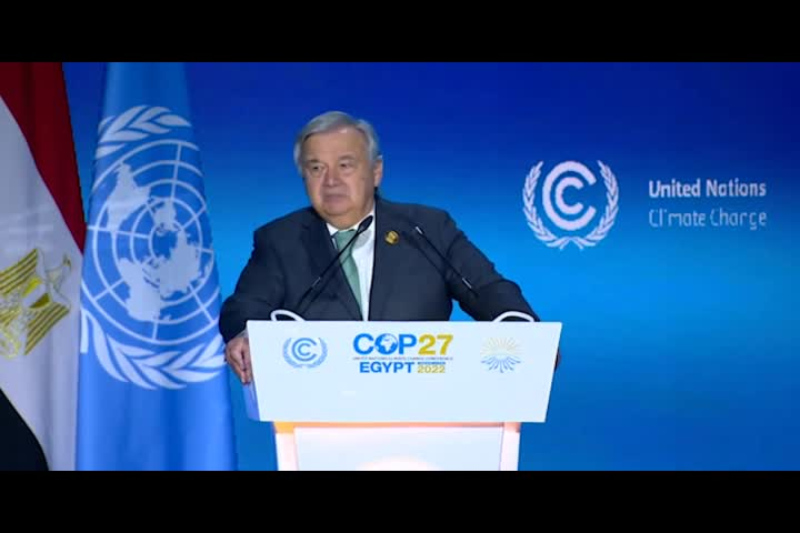 U.N.: COP 27 Dialogues