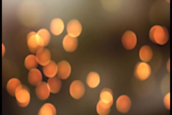 Above All We Can Ask - We Are In Need of Repair