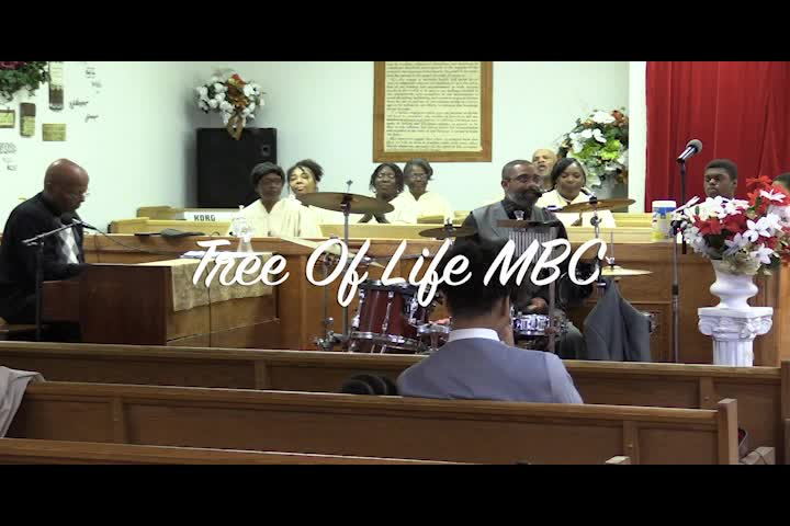Tree Of Life - March 26 2023