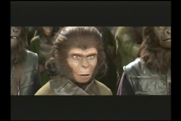 Haunted Hotel - The Creeping Flesh