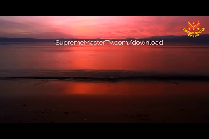 Supreme Master TV 02-23-480p-60m