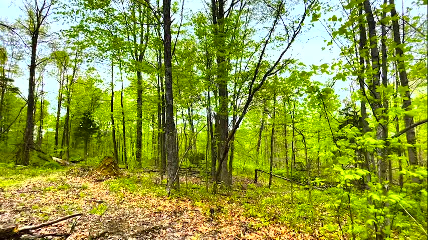 The 1835 Crew Presents - 10 Minutes of Peace