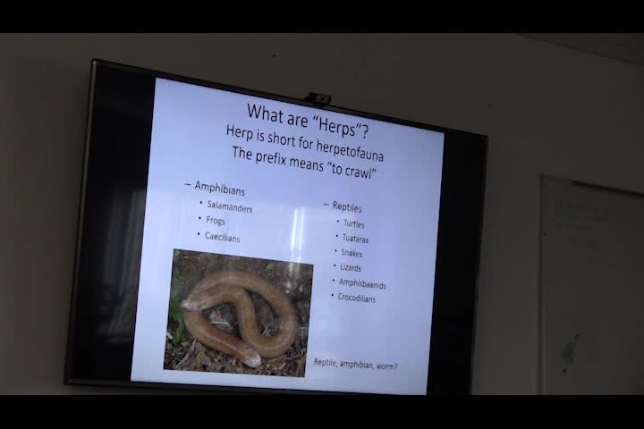 Living Green on a Blue Planet - Amphibians and Reptiles pt. 1