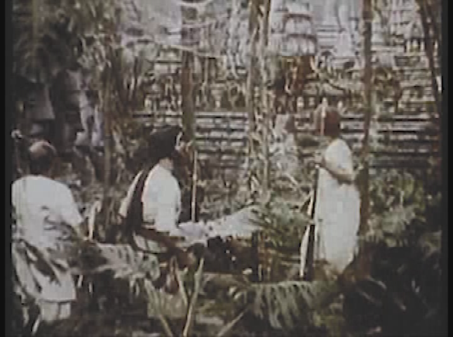 The Jungle Book