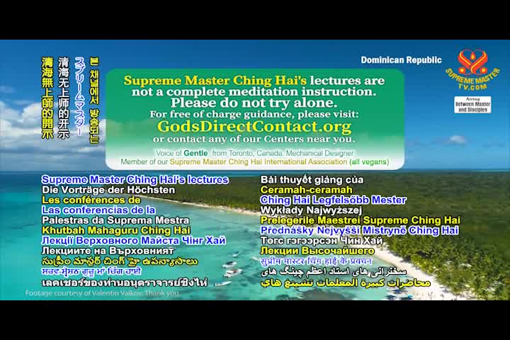 Supreme Master TV 05b-03-480p-60m