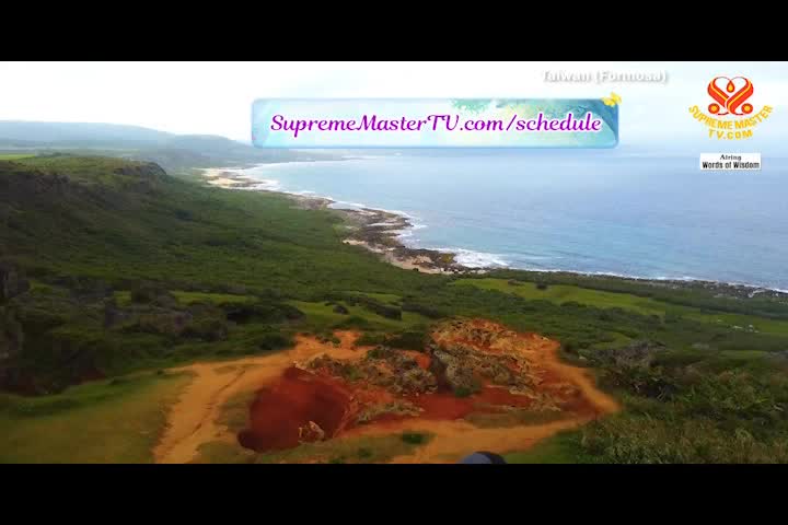 Supreme Master TV - 07-03