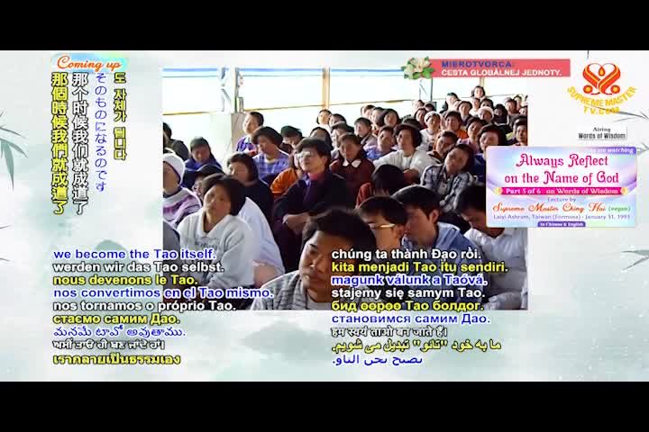 Supreme Master TV - 07-04