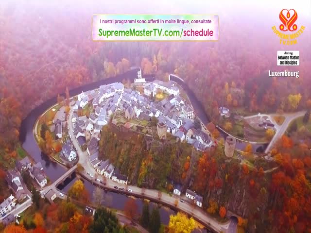 Supreme Master TV 10-05-480p-60m