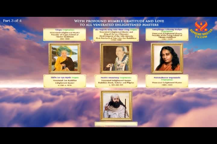 Supreme Master TV - 11-05
