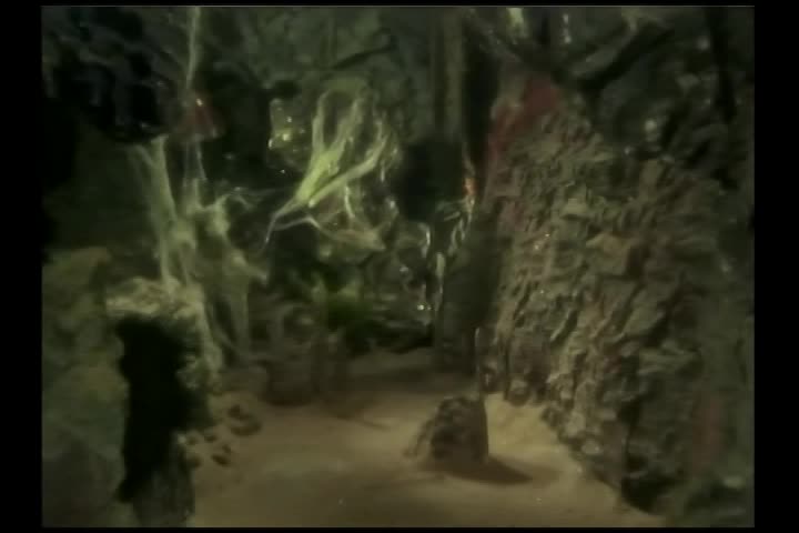 Stingray S2 ep7 The Secret of the Giant Oyster