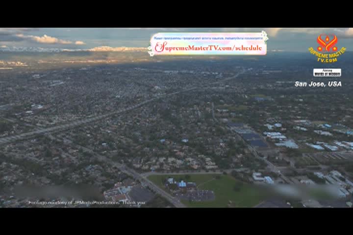 Supreme Master TV - 01-01-480p-60m