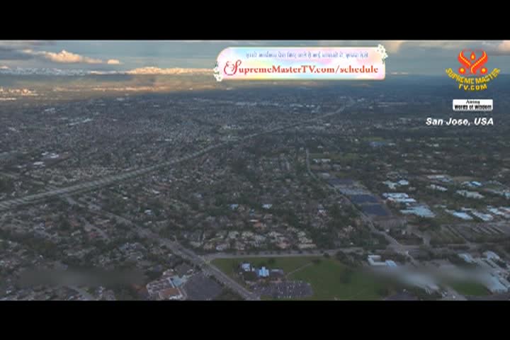 Supreme Master TV - 01-06-480p-60m