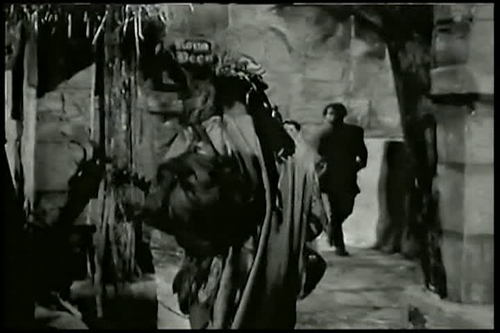 Robin Hood 1955: The Jongleur