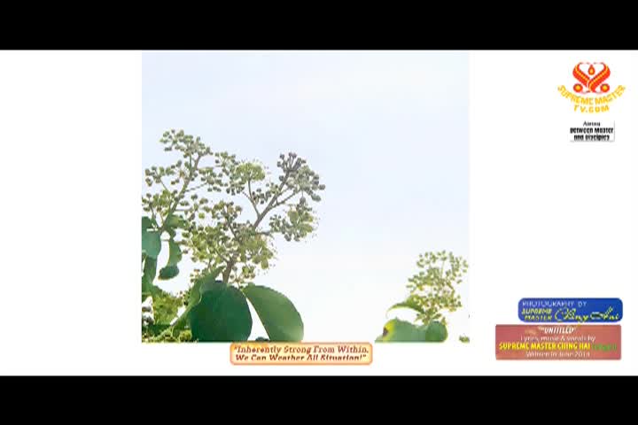Eckankar - The Road to Spiritual Freedom