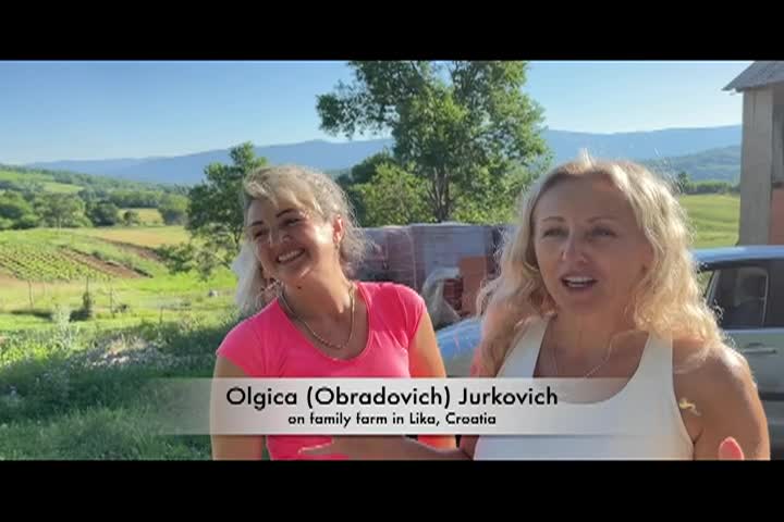 Cooking and Kids - The Other Side of Green