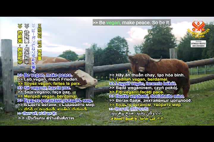 Supreme Master TV - 06-08-480p-60m