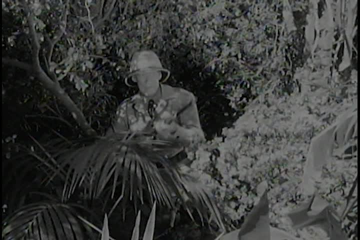 Saturday Serials: Panther Girl of the Kongo ep. 5