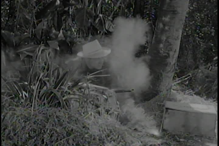 Saturday Serials: Panther Girl of the Kongo ep. 8