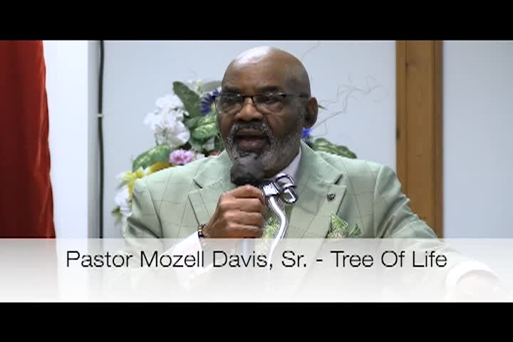 Tree Of Life Aug 23rd 2024