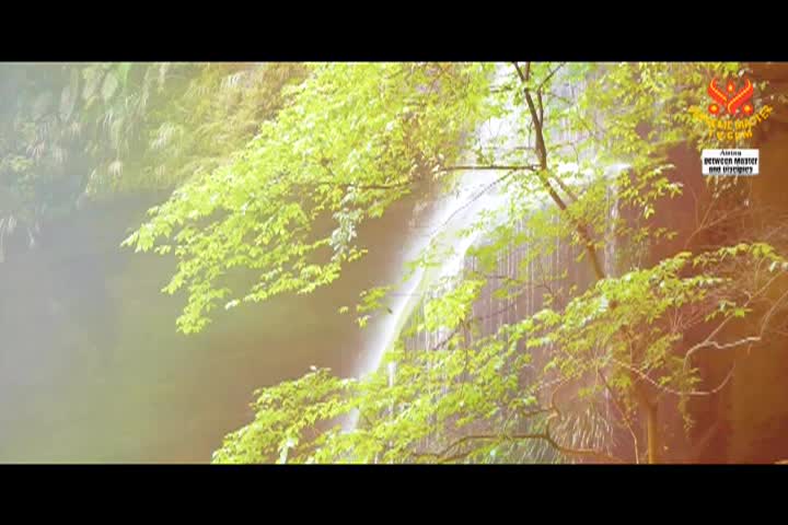 Supreme Master TV - 08-08-480p-60m