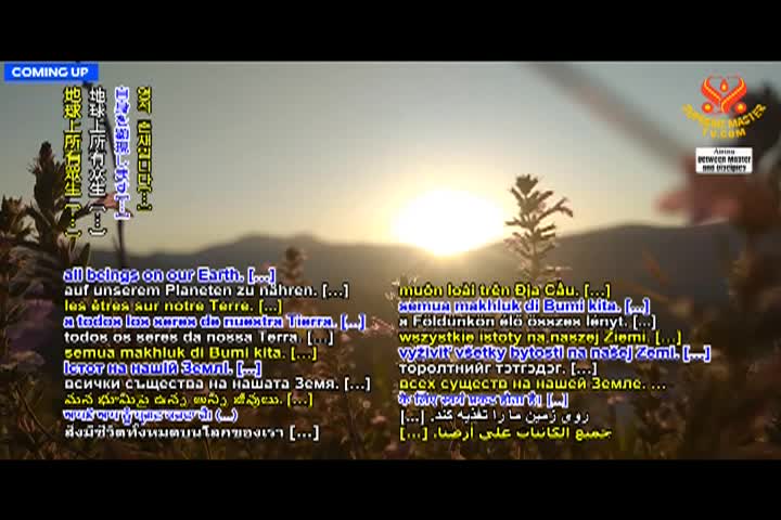 Supreme Master TV - 08-04-480p-60m (2)