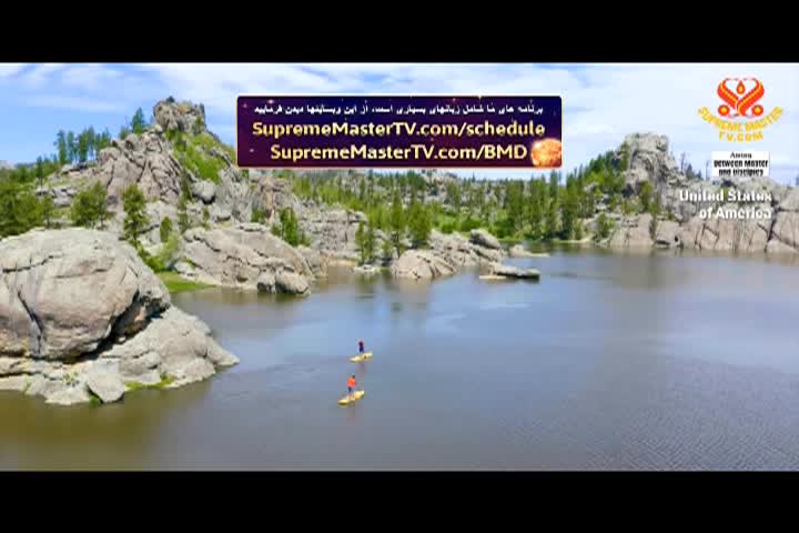 Supreme Master TV - 08-05-480p-60m (2)