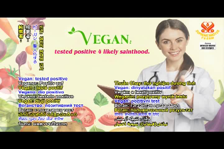 Supreme Master TV - 08-08-480p-60m (2)